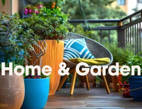 Inspiring Ideas to Elevate Your Home & Garden